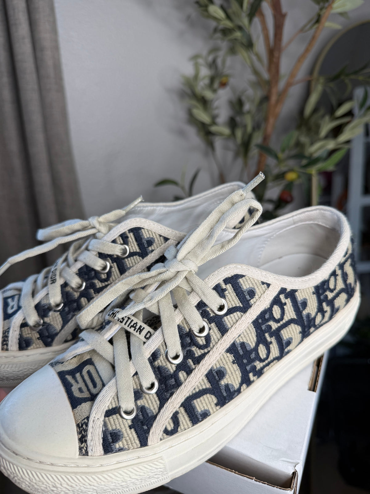 Christian Dior Shoes